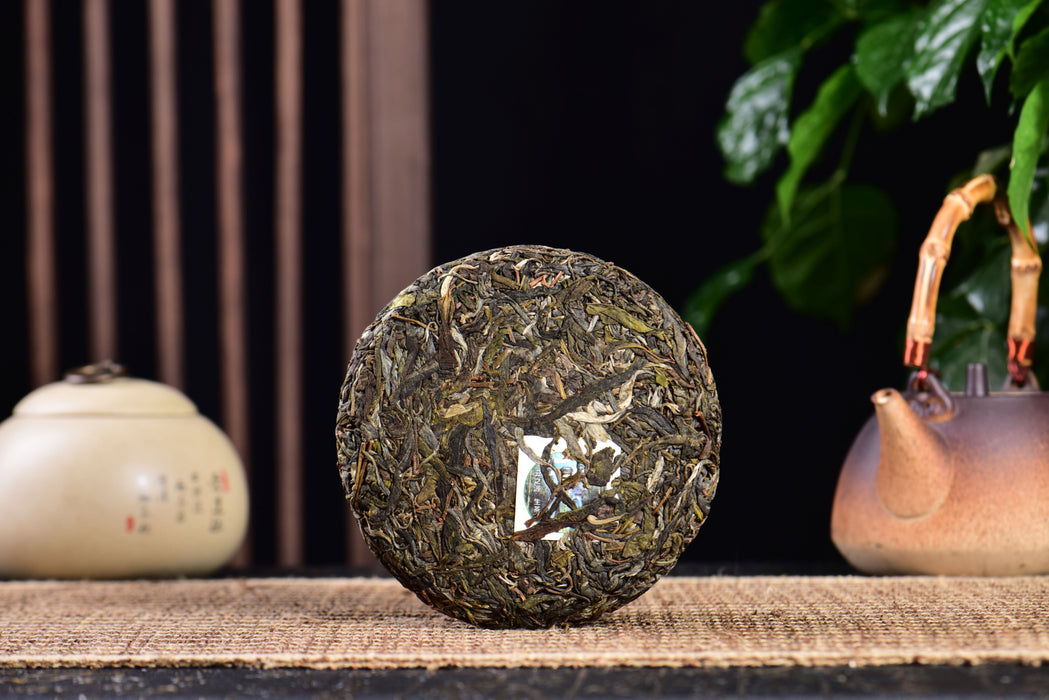 2024 Yunnan Sourcing "Ku Zhu Shan" Raw Pu-erh Tea Cake