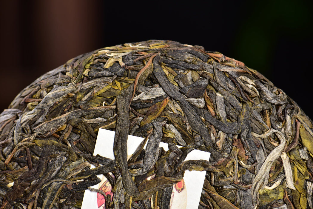 2024 Yunnan Sourcing "Bing Dao Lao Zhai" Raw Pu-erh Tea Cake | Yunnan Sourcing Tea Shop