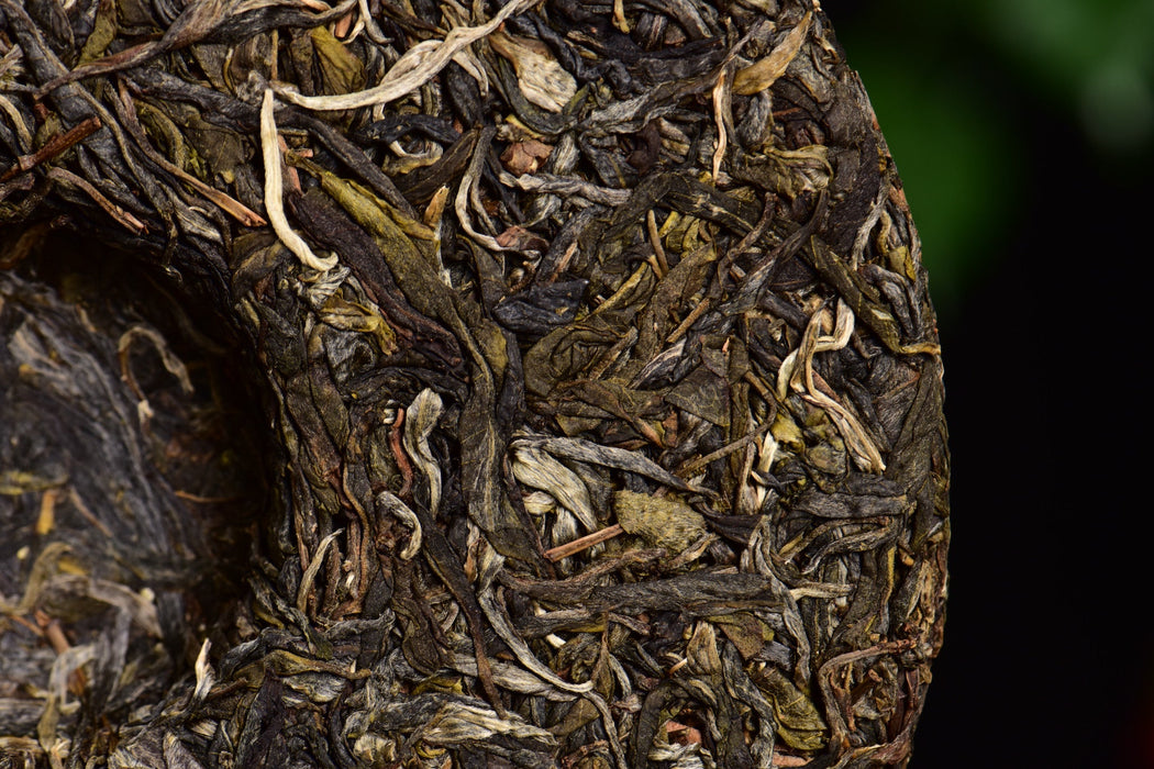 2024 Yunnan Sourcing "Huang Shan Gu Shu" Old Arbor Raw Pu-erh Tea Cake | Yunnan Sourcing Tea Shop