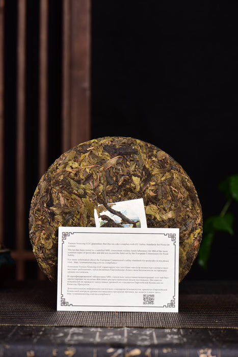 2024 Yunnan Sourcing "Spring Morning" Raw Pu-erh Tea Cake | Yunnan Sourcing Tea Shop