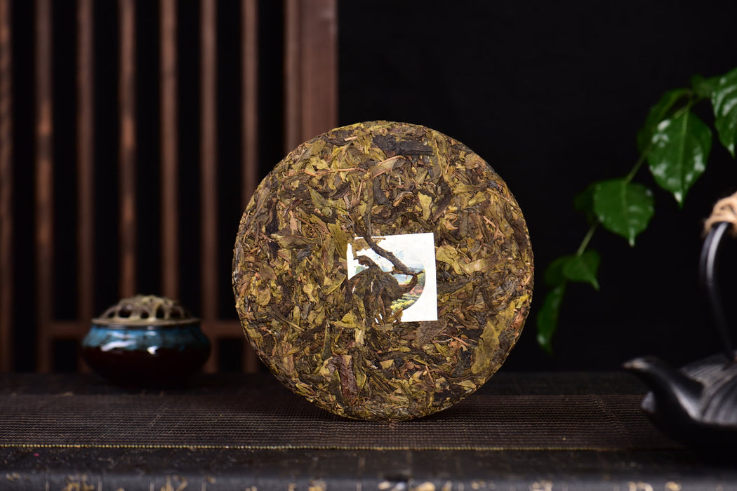 2024 Yunnan Sourcing "Spring Morning" Raw Pu-erh Tea Cake | Yunnan Sourcing Tea Shop