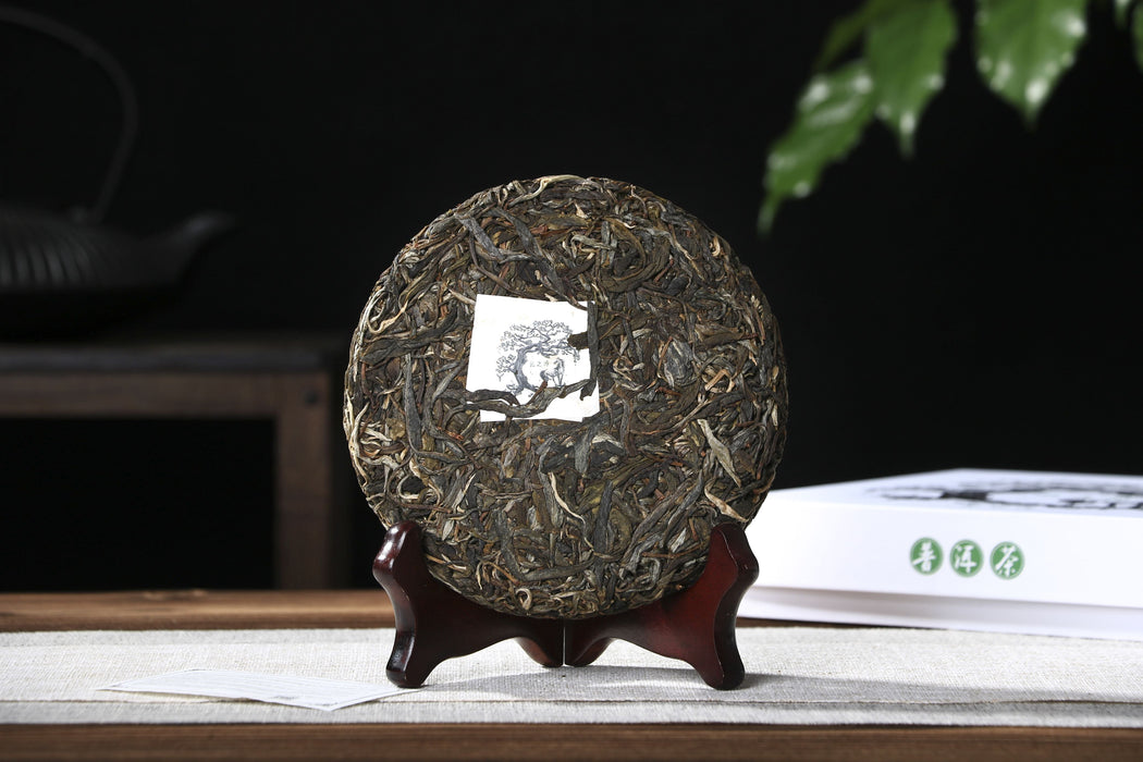 2026 Yunnan Sourcing "Ku Zhu Shan" Raw Pu-erh Tea Cake | Yunnan Sourcing Tea Shop