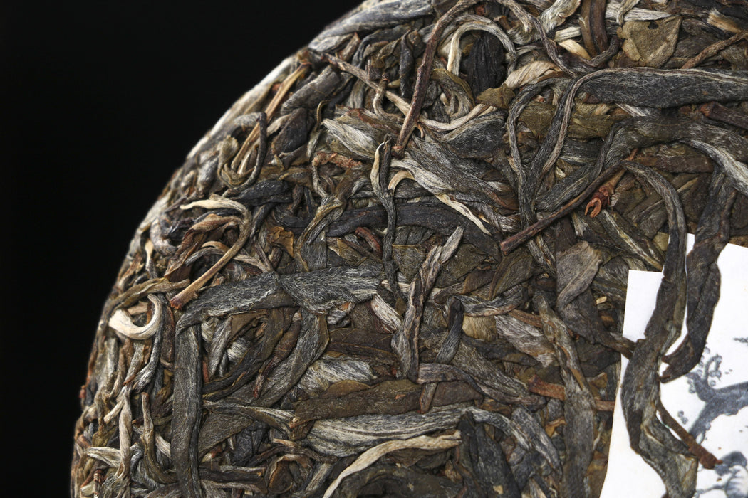2026 Yunnan Sourcing "Ku Zhu Shan" Raw Pu-erh Tea Cake | Yunnan Sourcing Tea Shop