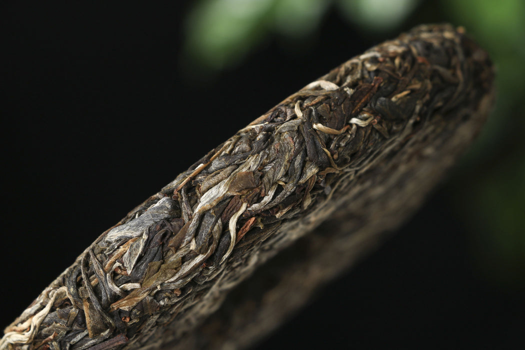 2026 Yunnan Sourcing "Ku Zhu Shan" Raw Pu-erh Tea Cake | Yunnan Sourcing Tea Shop