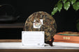 2026 Yunnan Sourcing "Wu Liang Bai Cha" Wild Arbor White Tea Cake | Yunnan Sourcing Tea Shop