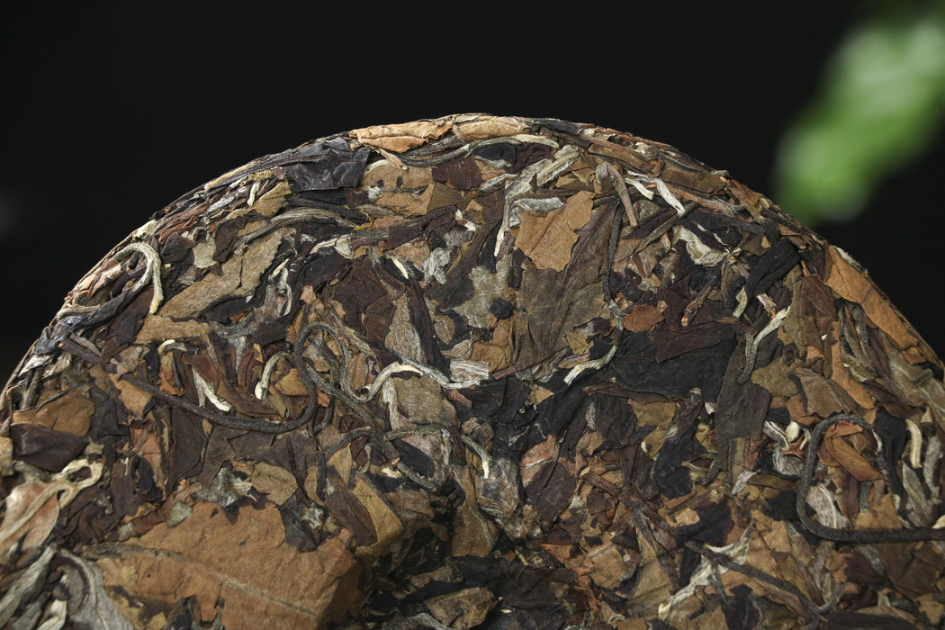 2026 Yunnan Sourcing "Wu Liang Bai Cha" Wild Arbor White Tea Cake | Yunnan Sourcing Tea Shop