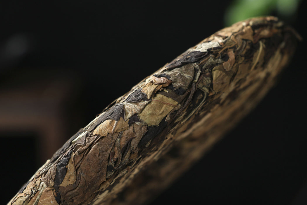 2026 Yunnan Sourcing "Wu Liang Bai Cha" Wild Arbor White Tea Cake | Yunnan Sourcing Tea Shop