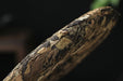 2026 Yunnan Sourcing "Wu Liang Bai Cha" Wild Arbor White Tea Cake | Yunnan Sourcing Tea Shop