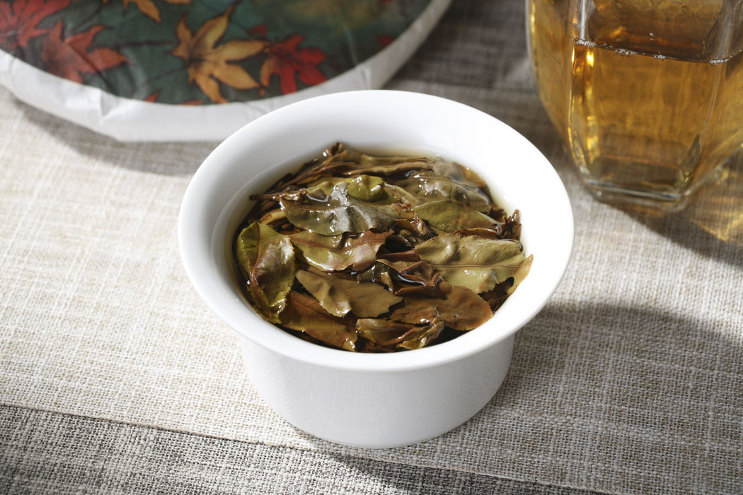 2026 Yunnan Sourcing "Wu Liang Bai Cha" Wild Arbor White Tea Cake | Yunnan Sourcing Tea Shop
