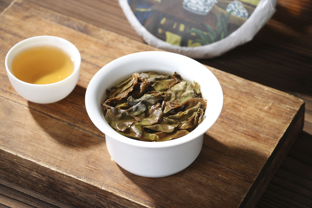 2026 Yunnan Sourcing "Jiu Tai Po Bai Cha" Old Arbor White Tea Cake | Yunnan Sourcing Tea Shop