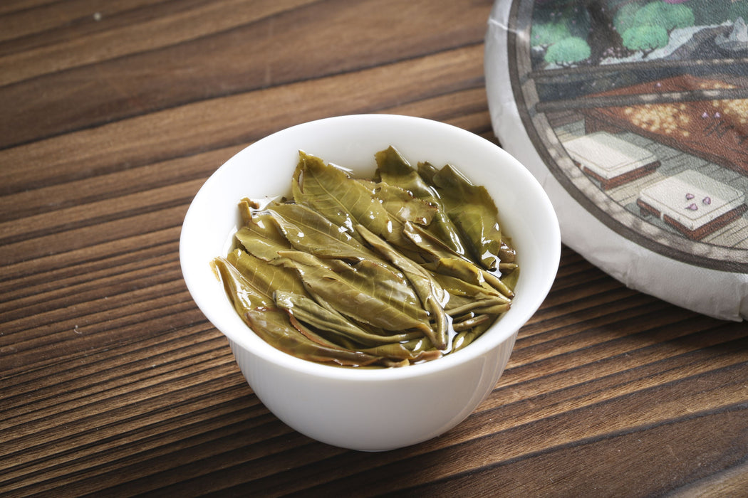 2026 Yunnan Sourcing "Jiu Tai Po" Old Arbor Raw Pu-erh Tea Cake | Yunnan Sourcing Tea Shop