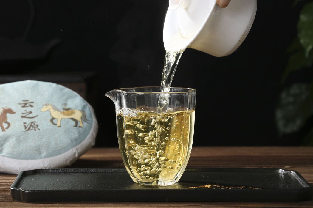 2026 Yunnan Sourcing "Da Qing Gu Shu" Raw Pu-erh Tea Cake | Yunnan Sourcing Tea Shop