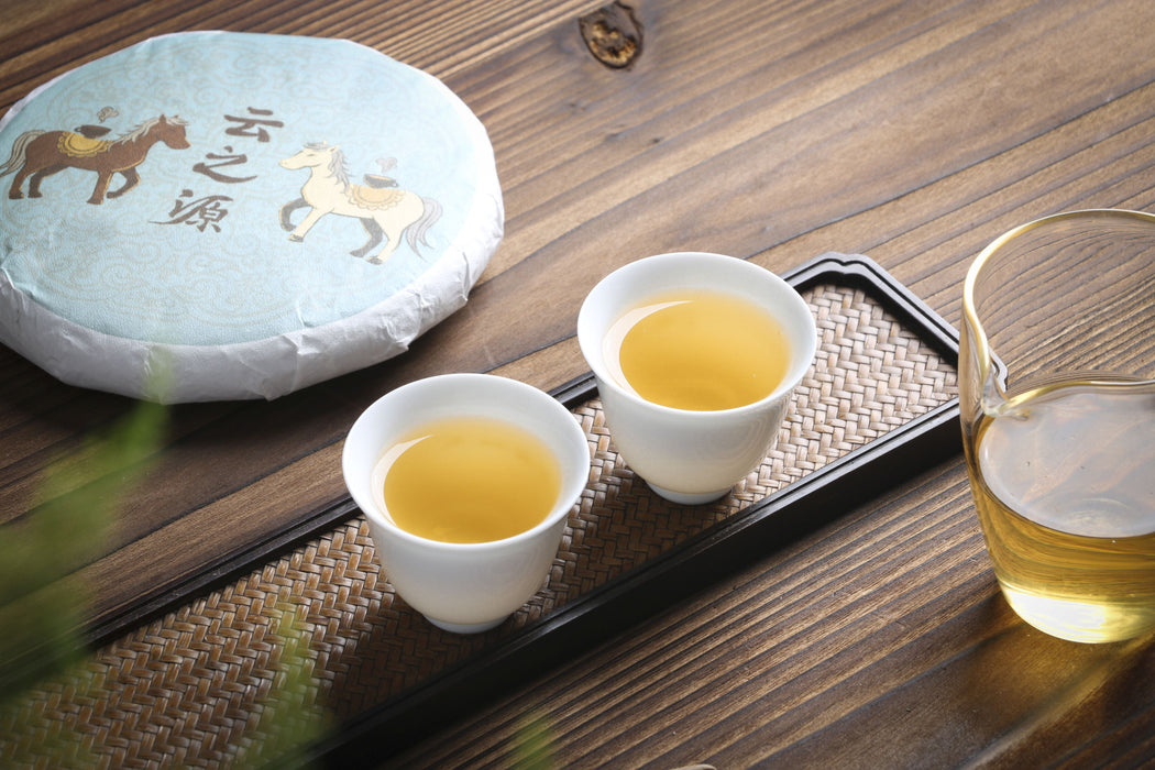 2026 Yunnan Sourcing "Da Qing Gu Shu" Raw Pu-erh Tea Cake | Yunnan Sourcing Tea Shop