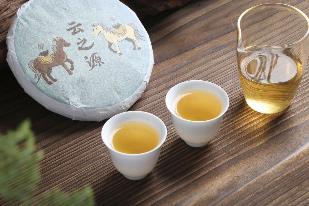 2026 Yunnan Sourcing "Da Qing Gu Shu" Raw Pu-erh Tea Cake | Yunnan Sourcing Tea Shop