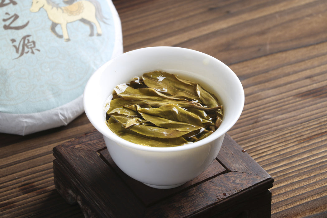 2026 Yunnan Sourcing "Da Qing Gu Shu" Raw Pu-erh Tea Cake | Yunnan Sourcing Tea Shop