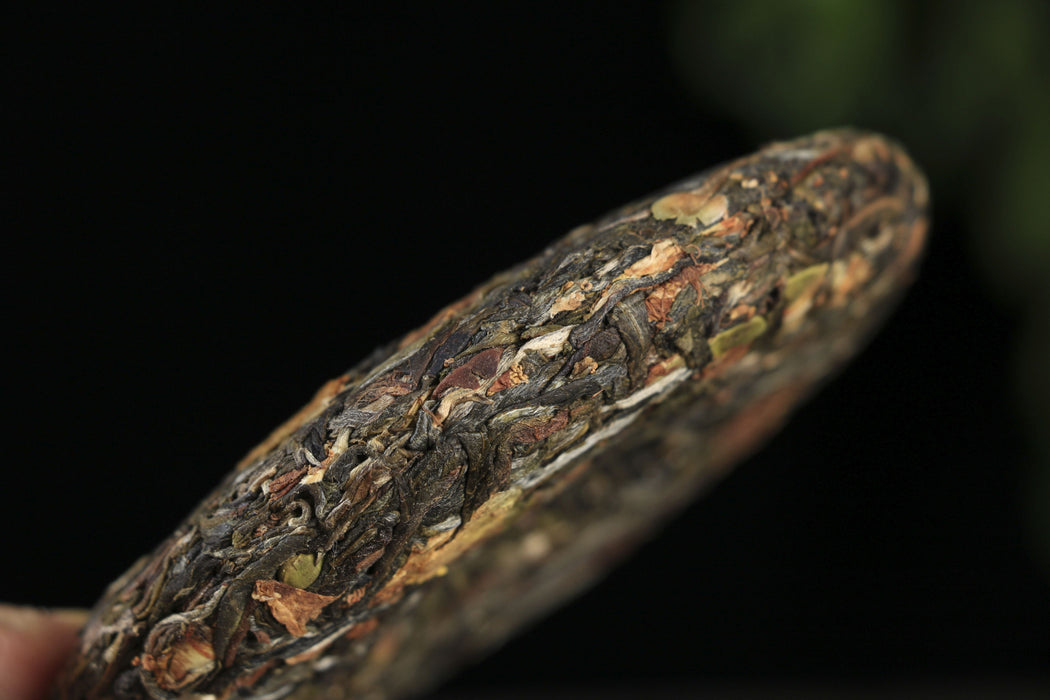 2025 Yunnan Sourcing "Autumn Forest Tea & Cha Hua" Raw Pu-erh Tea Cake | Yunnan Sourcing Tea Shop