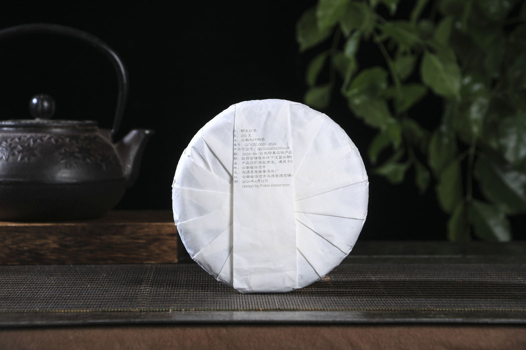 2026 Yunnan Sourcing "Wild Purple Black" of Yong De Tea Cake | Yunnan Sourcing Tea Shop