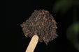 2026 Yunnan Sourcing "Fire Horse" Ripe Pu-erh Tea Cake | Yunnan Sourcing Tea Shop