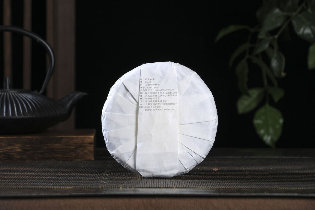 2026 Yunnan Sourcing "Purple White Tea" of Yong De Tea Cake | Yunnan Sourcing Tea Shop