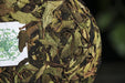2026 Yunnan Sourcing "Purple White Tea" of Yong De Tea Cake | Yunnan Sourcing Tea Shop