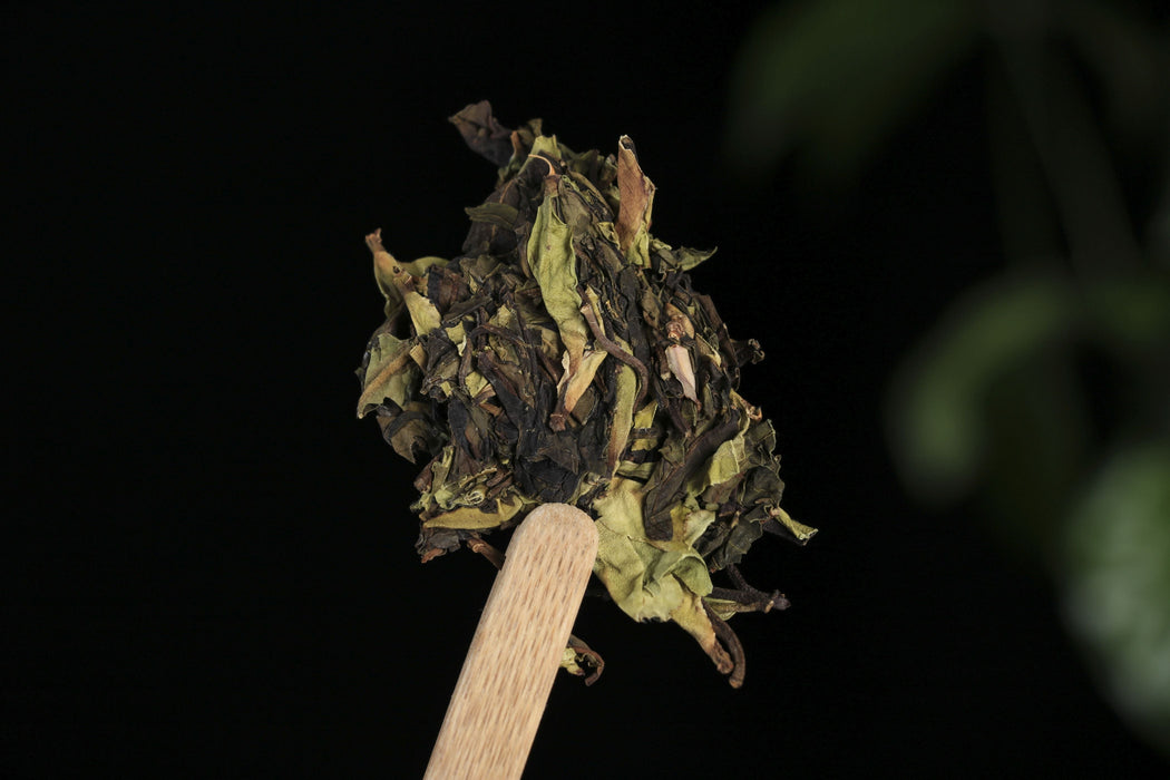 2026 Yunnan Sourcing "Purple White Tea" of Yong De Tea Cake | Yunnan Sourcing Tea Shop