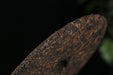 2026 Yunnan Sourcing "Spirit Horse" Ripe Pu-erh Tea Cake | Yunnan Sourcing Tea Shop