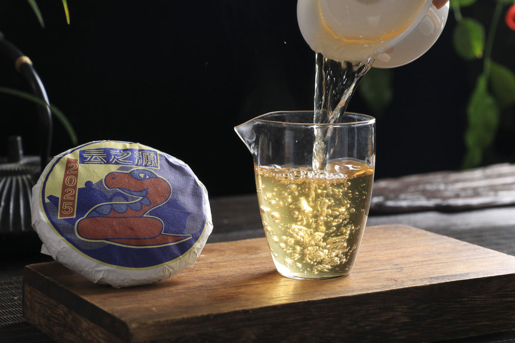 2025 Yunnan Sourcing "Autumn Forest Tea & Cha Hua" Raw Pu-erh Tea Cake | Yunnan Sourcing Tea Shop