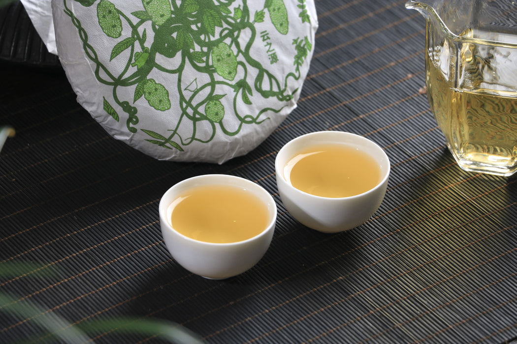 2026 Yunnan Sourcing "Purple White Tea" of Yong De Tea Cake | Yunnan Sourcing Tea Shop