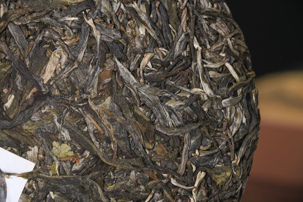 2026 Yunnan Sourcing "Huang Shan Gu Shu" Old Arbor Raw Pu-erh Tea Cake | Yunnan Sourcing Tea Shop