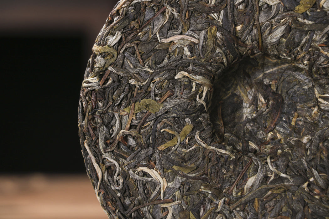 2026 Yunnan Sourcing "Huang Shan Gu Shu" Old Arbor Raw Pu-erh Tea Cake | Yunnan Sourcing Tea Shop
