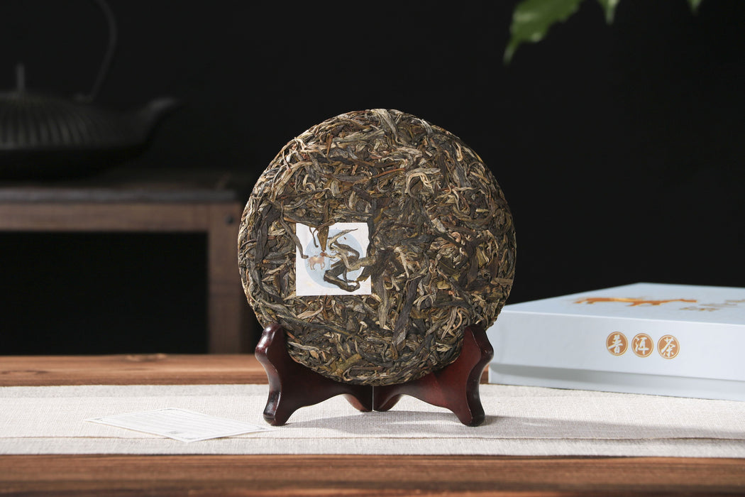 2026 Yunnan Sourcing "Da Qing Gu Shu" Raw Pu-erh Tea Cake | Yunnan Sourcing Tea Shop