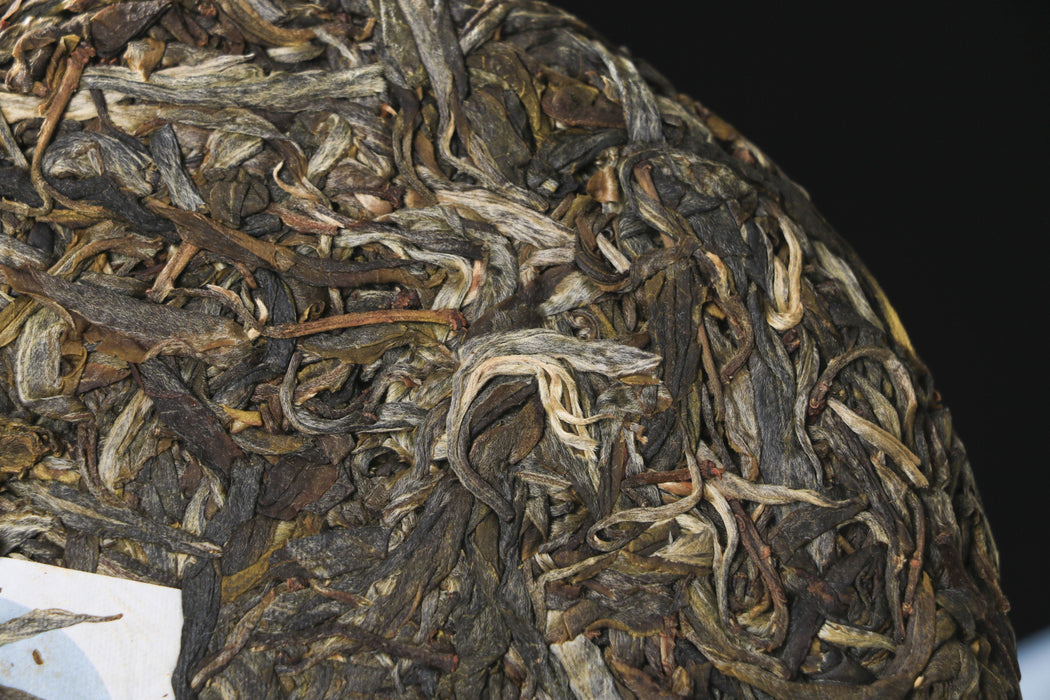 2026 Yunnan Sourcing "Da Qing Gu Shu" Raw Pu-erh Tea Cake | Yunnan Sourcing Tea Shop