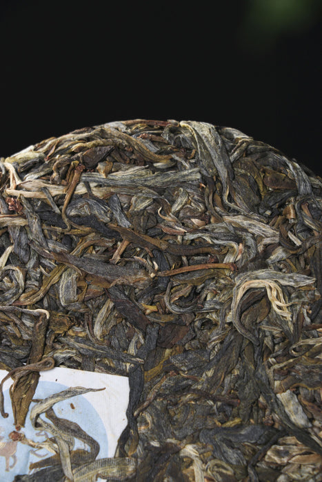 2026 Yunnan Sourcing "Da Qing Gu Shu" Raw Pu-erh Tea Cake | Yunnan Sourcing Tea Shop