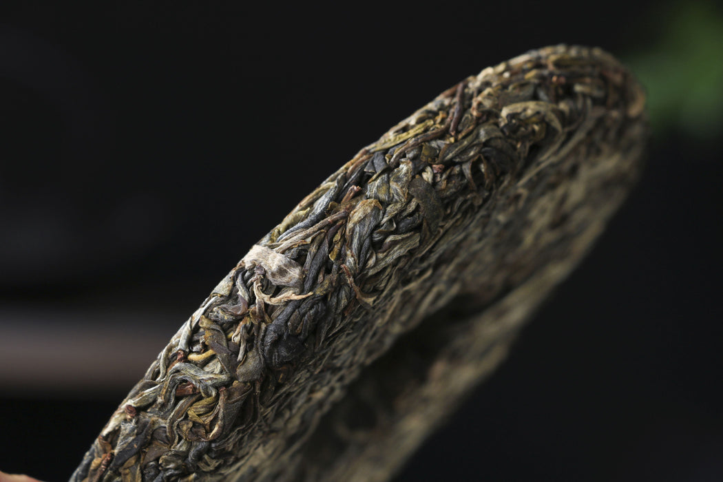 2026 Yunnan Sourcing "Da Qing Gu Shu" Raw Pu-erh Tea Cake | Yunnan Sourcing Tea Shop
