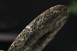 2026 Yunnan Sourcing "Da Qing Gu Shu" Raw Pu-erh Tea Cake | Yunnan Sourcing Tea Shop