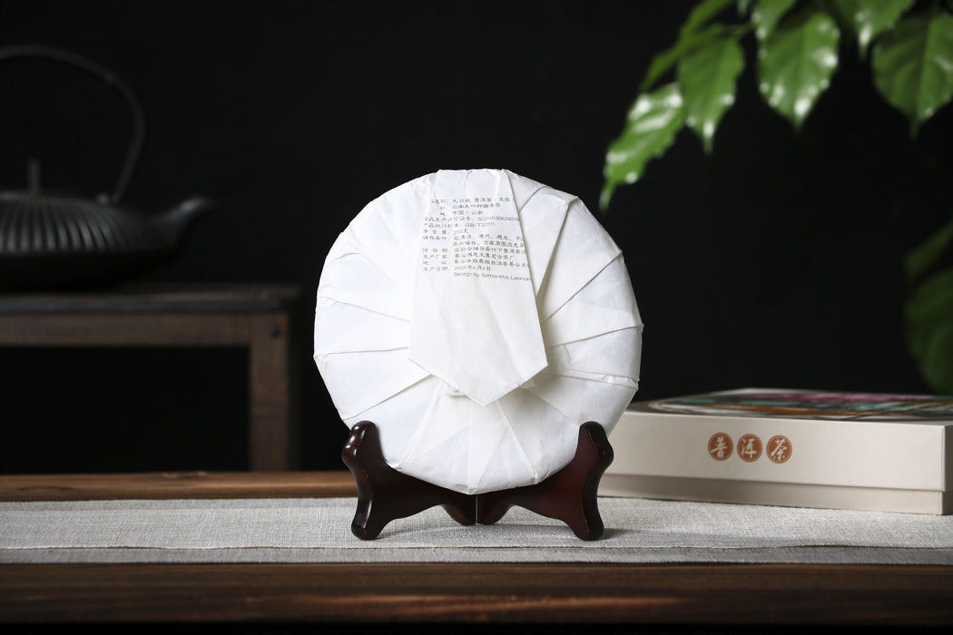 2026 Yunnan Sourcing "Jiu Tai Po" Old Arbor Raw Pu-erh Tea Cake | Yunnan Sourcing Tea Shop