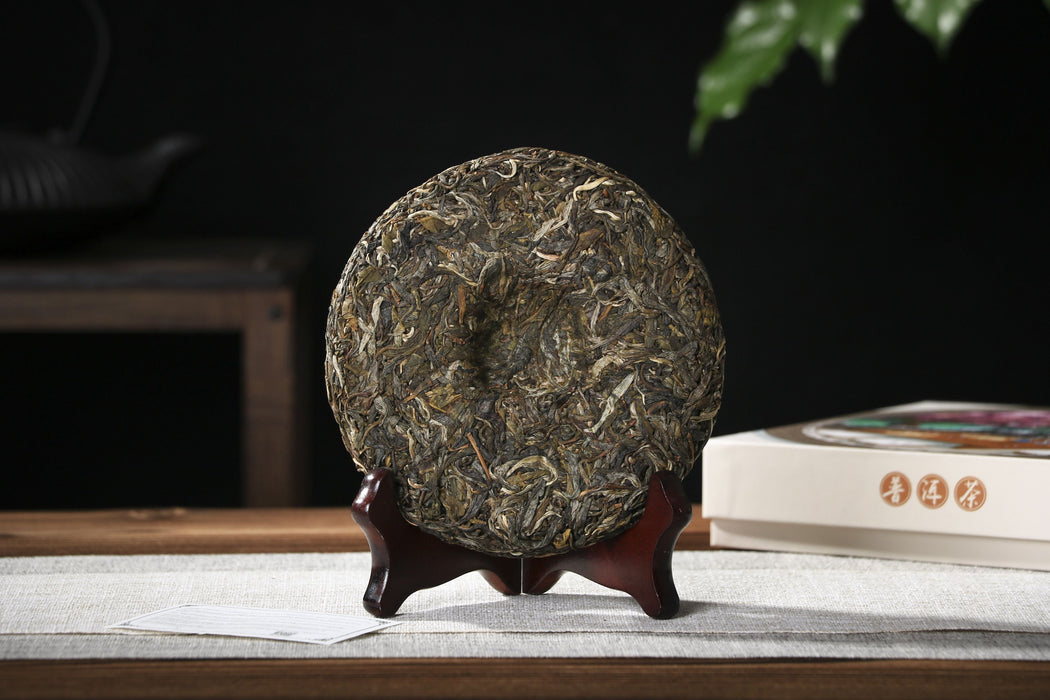 2026 Yunnan Sourcing "Jiu Tai Po" Old Arbor Raw Pu-erh Tea Cake | Yunnan Sourcing Tea Shop