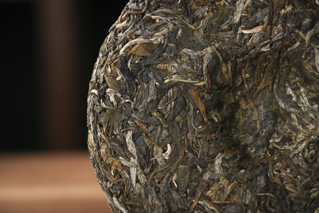 2026 Yunnan Sourcing "Jiu Tai Po" Old Arbor Raw Pu-erh Tea Cake | Yunnan Sourcing Tea Shop
