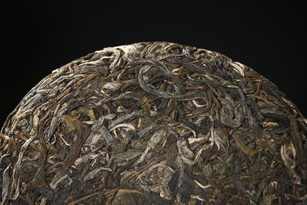 2026 Yunnan Sourcing "Jiu Tai Po" Old Arbor Raw Pu-erh Tea Cake | Yunnan Sourcing Tea Shop