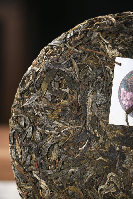 2026 Yunnan Sourcing "Jiu Tai Po" Old Arbor Raw Pu-erh Tea Cake | Yunnan Sourcing Tea Shop