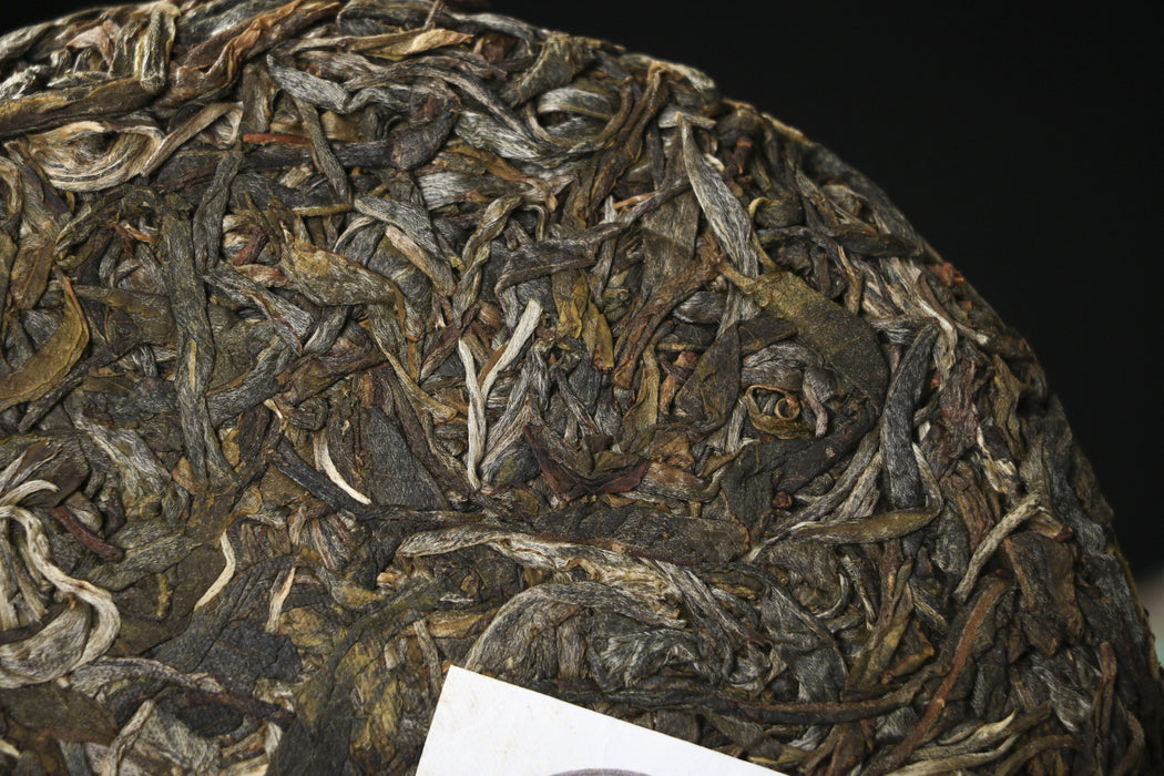 2026 Yunnan Sourcing "Jiu Tai Po" Old Arbor Raw Pu-erh Tea Cake | Yunnan Sourcing Tea Shop