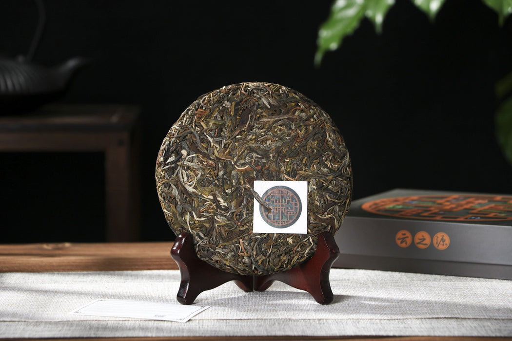2026 Yunnan Sourcing "Meng Zhu Da Shan" Old Arbor Raw Pu-erh Tea Cake | Yunnan Sourcing Tea Shop