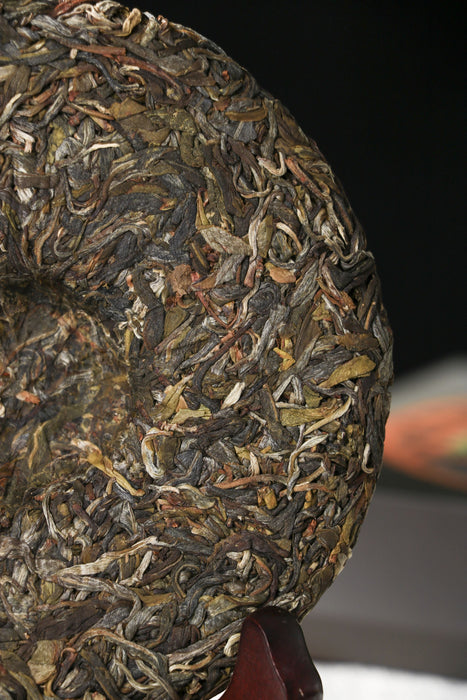 2026 Yunnan Sourcing "Meng Zhu Da Shan" Old Arbor Raw Pu-erh Tea Cake | Yunnan Sourcing Tea Shop