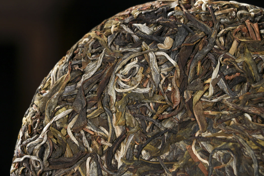 2026 Yunnan Sourcing "Meng Zhu Da Shan" Old Arbor Raw Pu-erh Tea Cake | Yunnan Sourcing Tea Shop