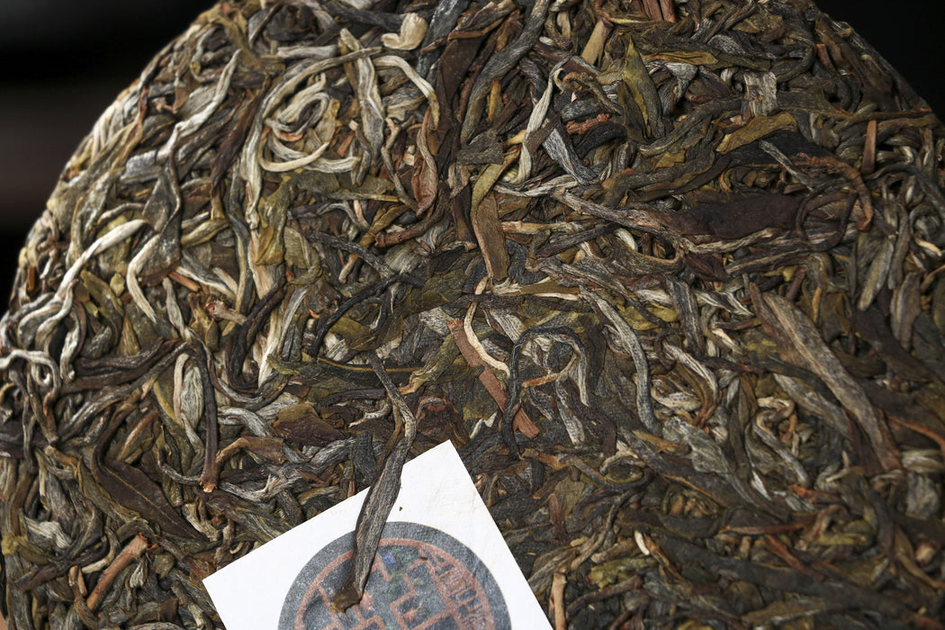 2026 Yunnan Sourcing "Meng Zhu Da Shan" Old Arbor Raw Pu-erh Tea Cake | Yunnan Sourcing Tea Shop