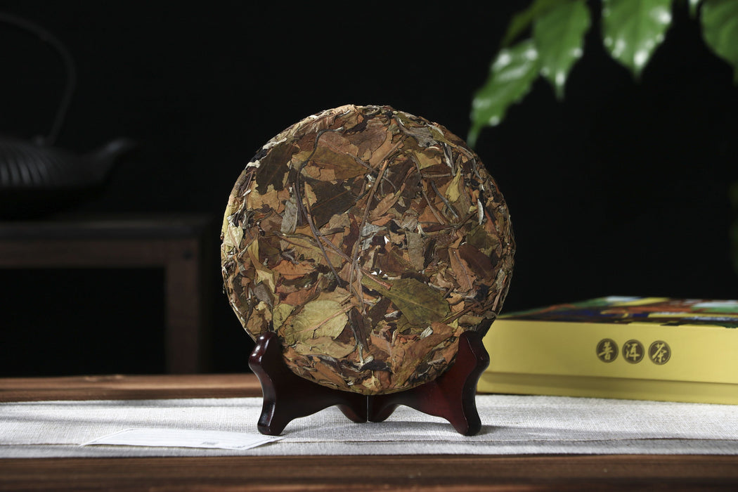 2026 Yunnan Sourcing "Jiu Tai Po Bai Cha" Old Arbor White Tea Cake | Yunnan Sourcing Tea Shop
