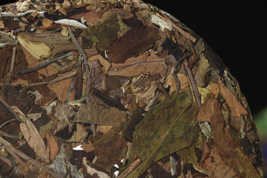 2026 Yunnan Sourcing "Jiu Tai Po Bai Cha" Old Arbor White Tea Cake | Yunnan Sourcing Tea Shop