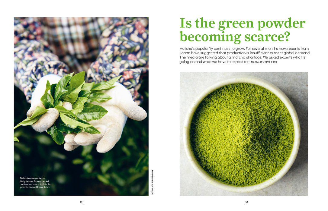 A two-page magazine spread featuring a left photo of gloved hands holding fresh green tea leaves and a right photo of bright green matcha powder in a bowl, with the headline 'Is the green powder becoming scarce?' and supporting text.
