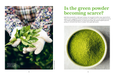 A two-page magazine spread featuring a left photo of gloved hands holding fresh green tea leaves and a right photo of bright green matcha powder in a bowl, with the headline 'Is the green powder becoming scarce?' and supporting text.