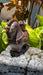 Year of the Horse Color Changing Gong Fu Tea Mascot | Yunnan Sourcing Tea Shop